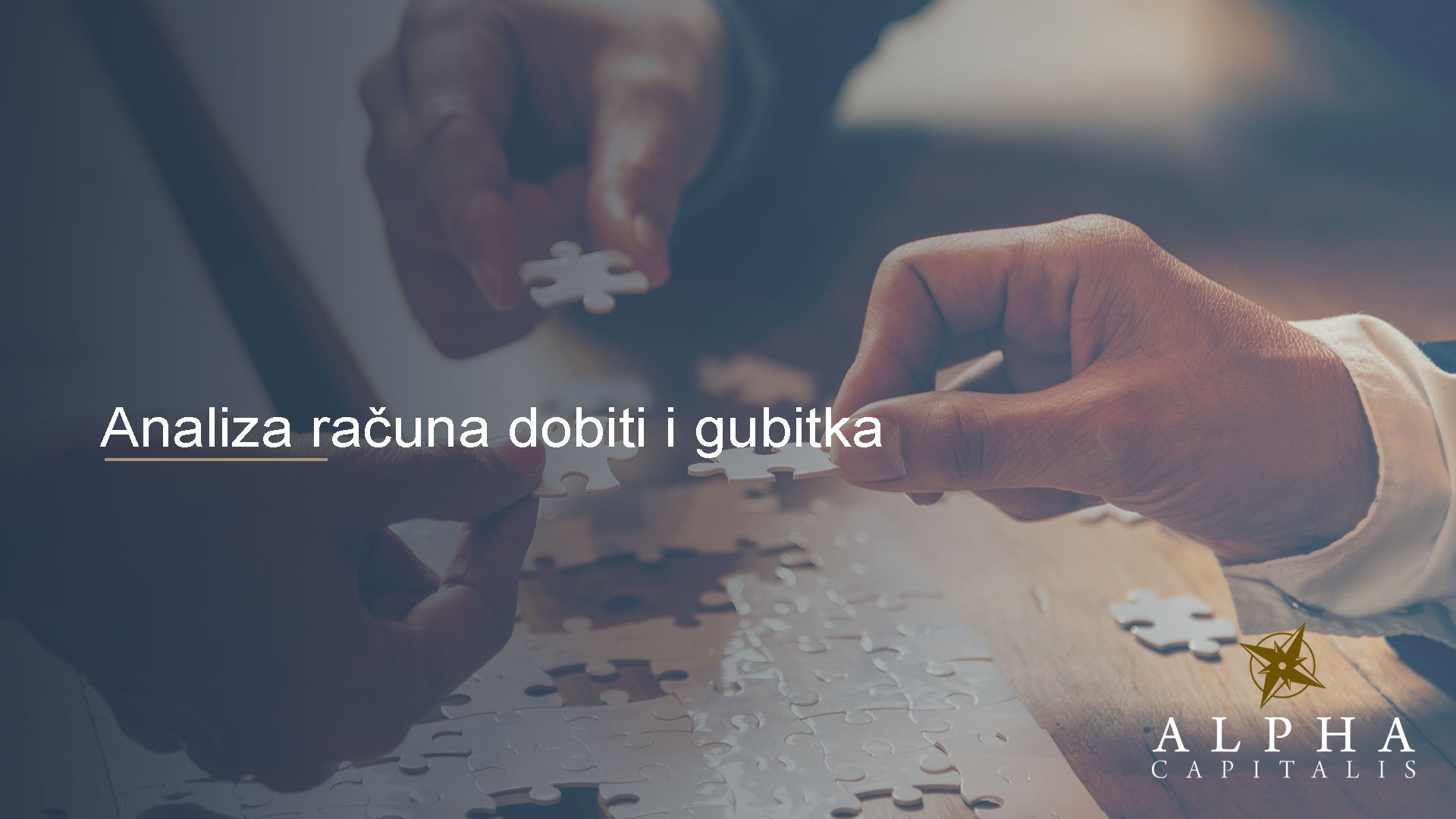 Analiza računa dobiti i gubitka