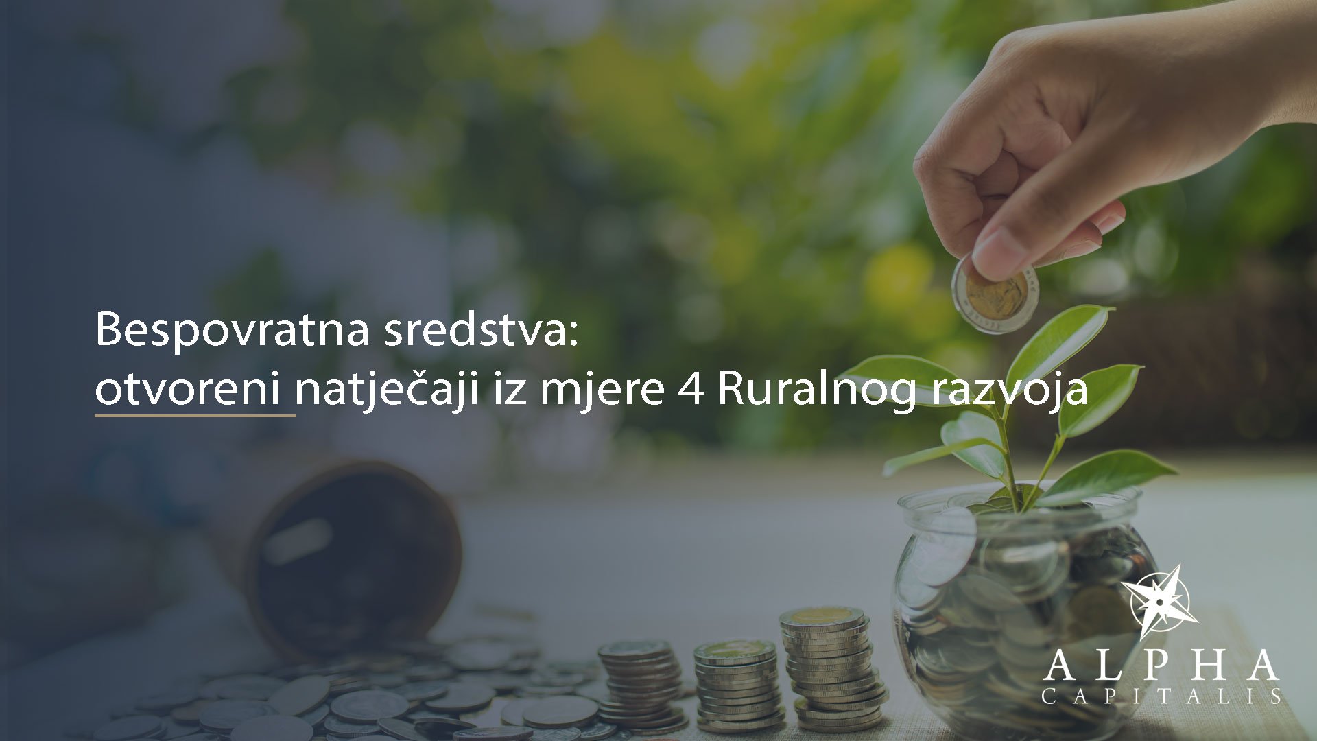 Bespovratna sredstva: otvoreni natječaji iz mjere 4 Ruralnog razvoja
