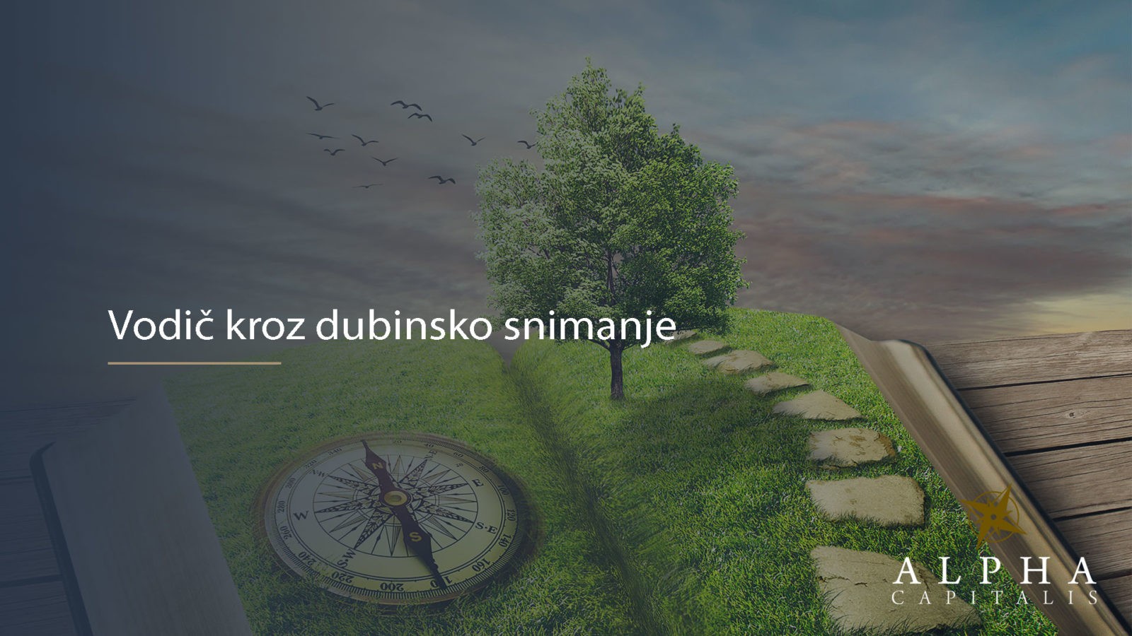 Vodič kroz dubinsko snimanje