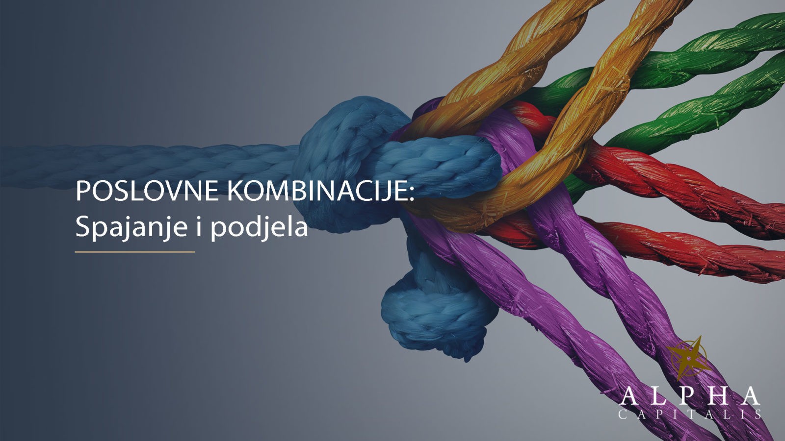 POSLOVNE KOMBINACIJE: Spajanje i podjela trgovačkih društava