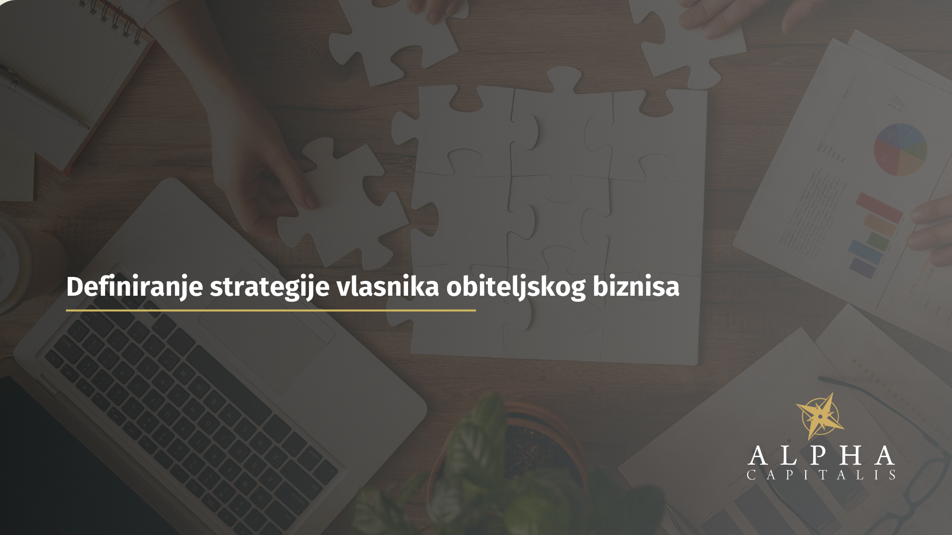 Definiranje strategije vlasnika obiteljskog biznisa