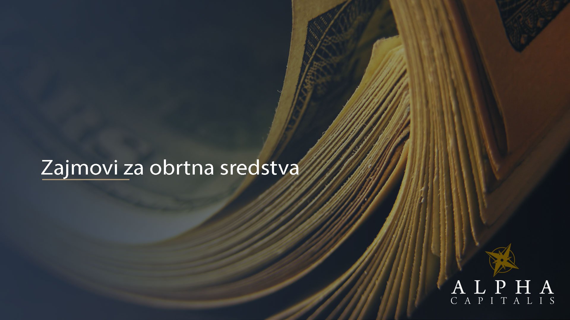 Zajmovi za obrtna sredstva