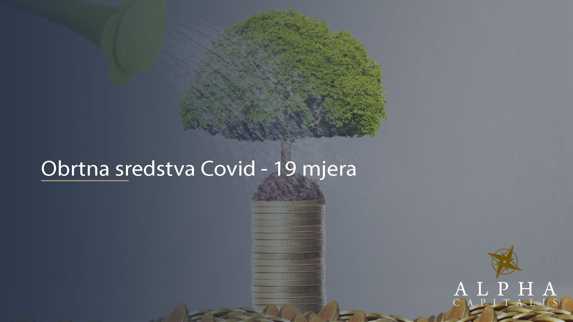 Obrtna sredstva Covid - 19 mjera