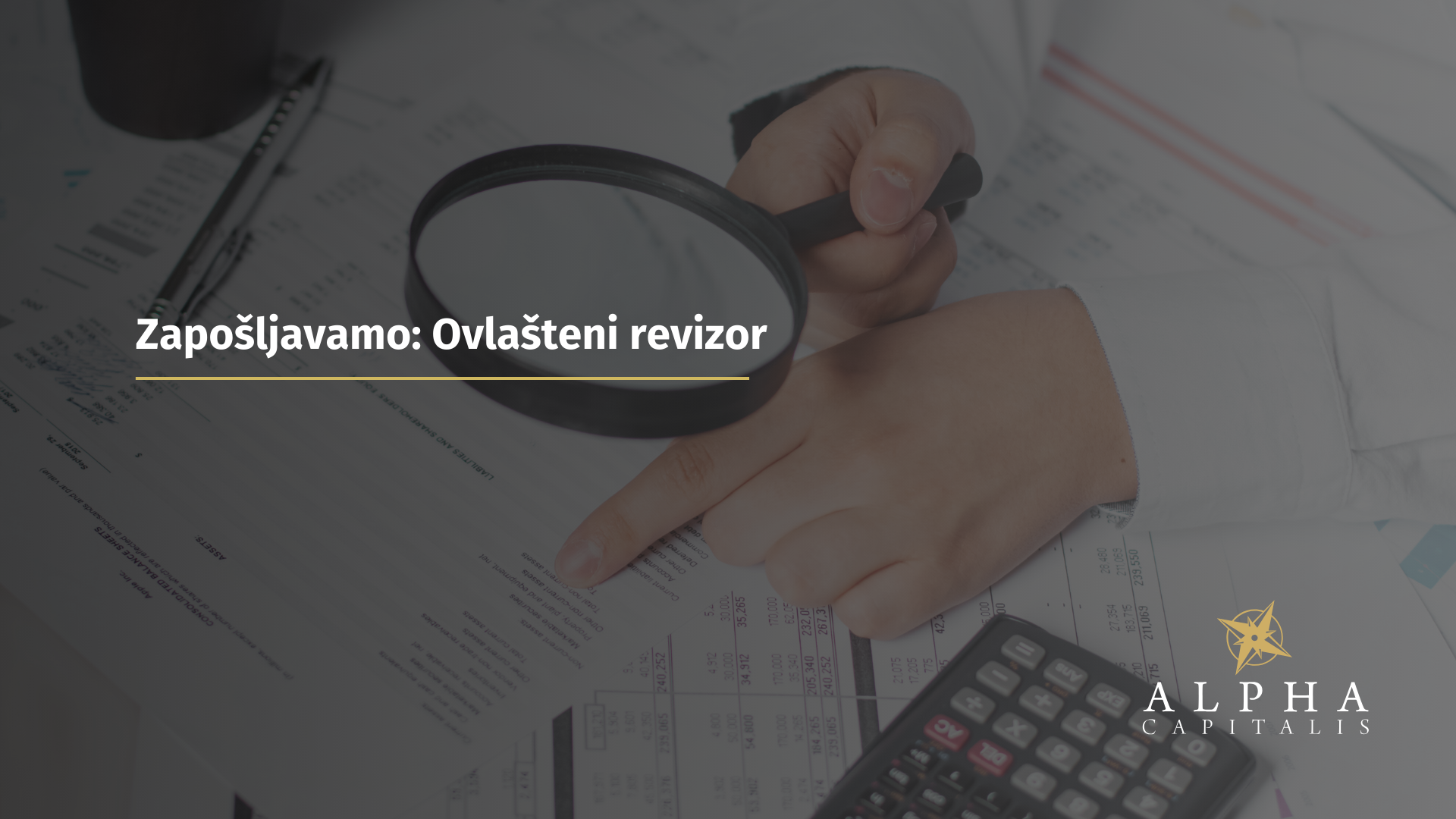 Zapošljavamo: Ovlašteni revizor