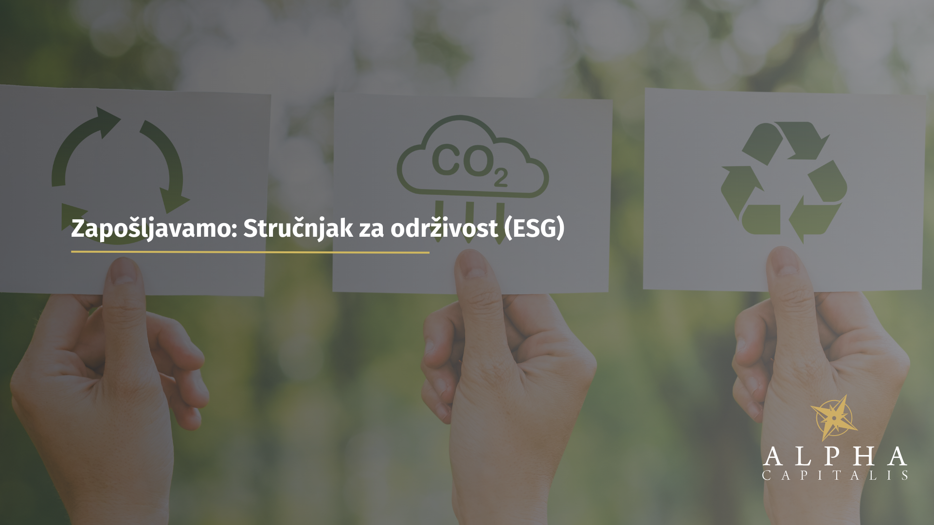 Stručnjak za održivost (ESG)