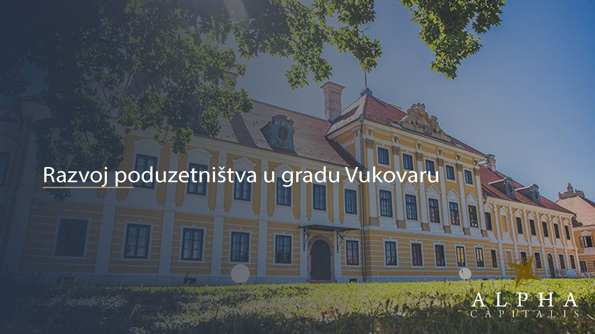 Razvoj poduzetništva u gradu Vukovaru