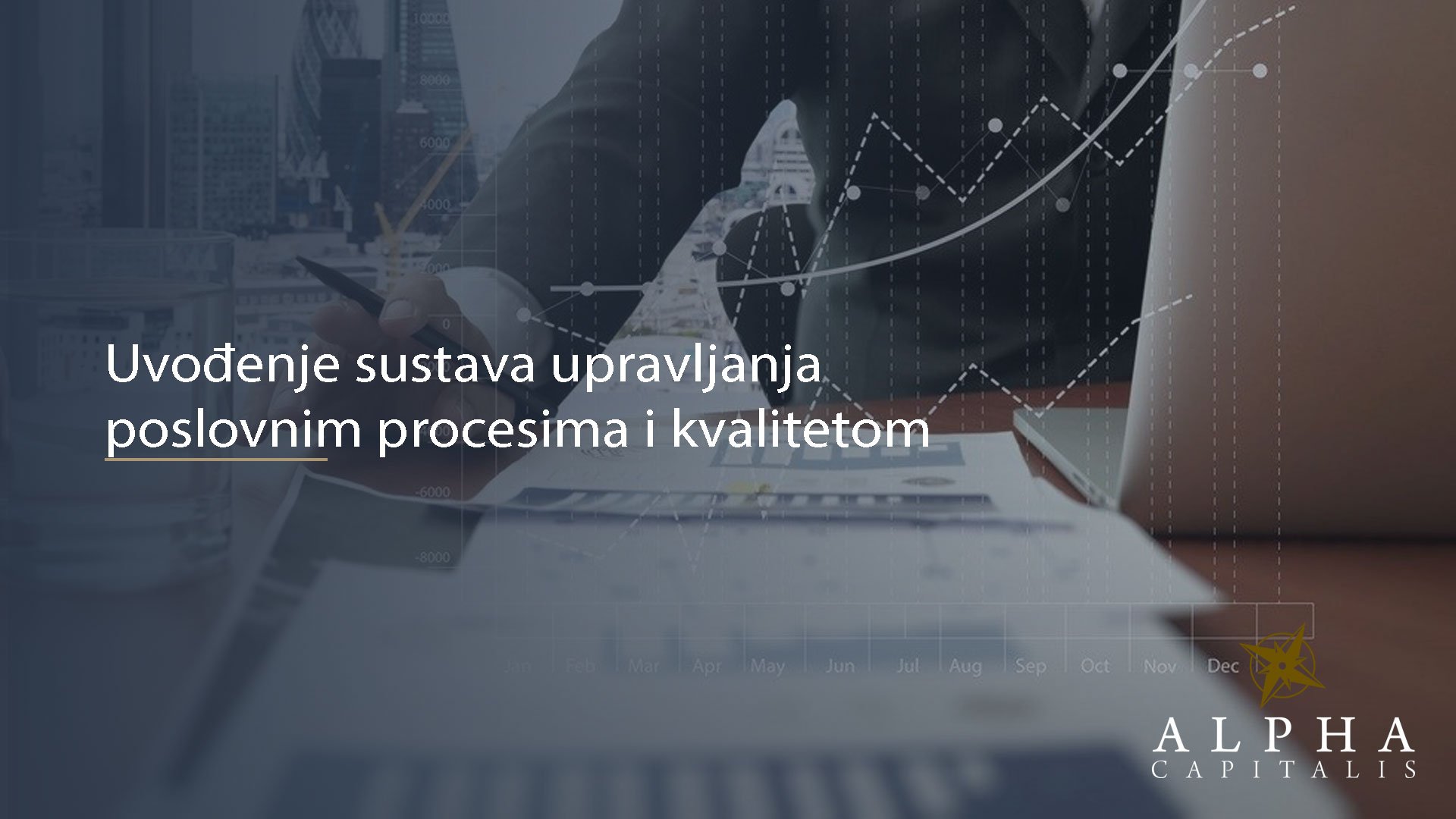 Uvođenje sustava upravljanja poslovnim procesima i kvalitetom (ISO i slične norme)