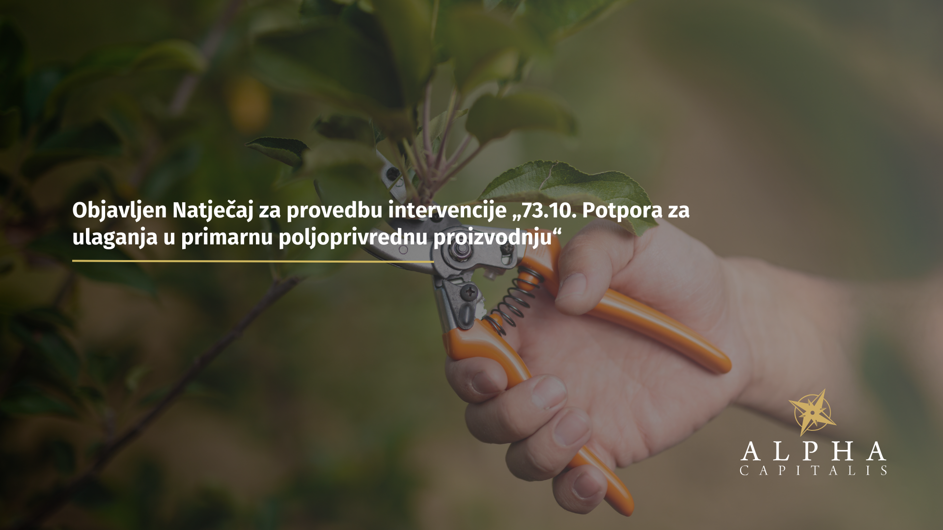 Objavljen Natječaj za provedbu intervencije „73.10. Potpora za ulaganja u primarnu poljoprivrednu proizvodnju“