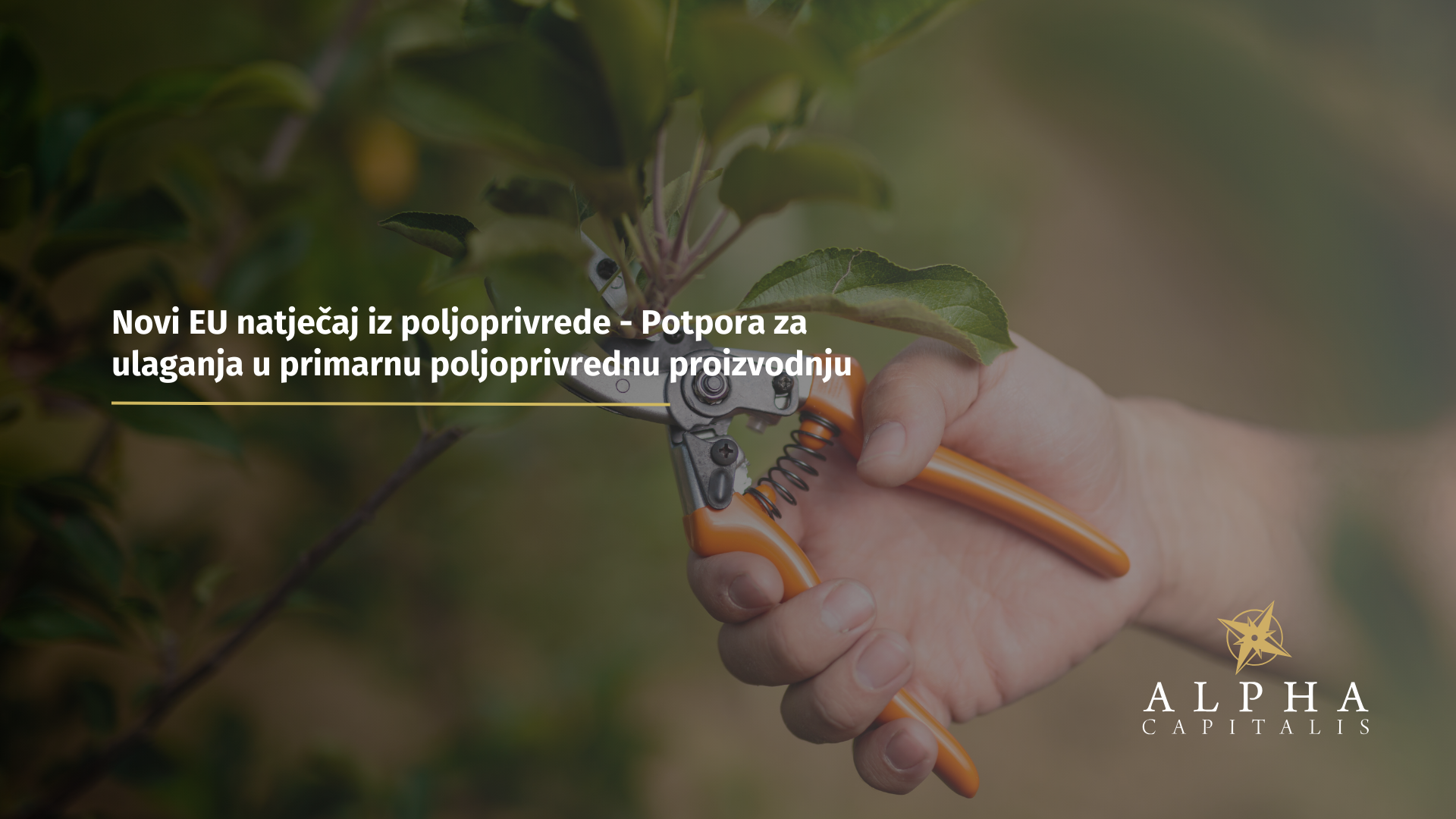 Novi EU natječaj iz poljoprivrede - Potpora za ulaganja u primarnu poljoprivrednu proizvodnju