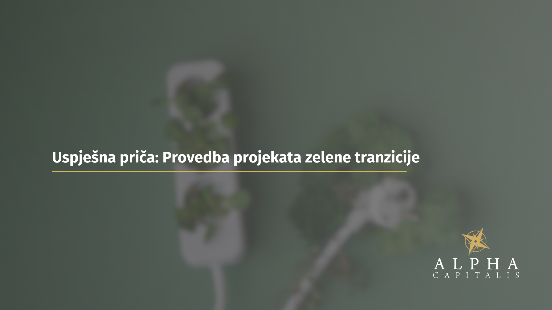 Uspješna priča: Provedba projekata zelene tranzicije