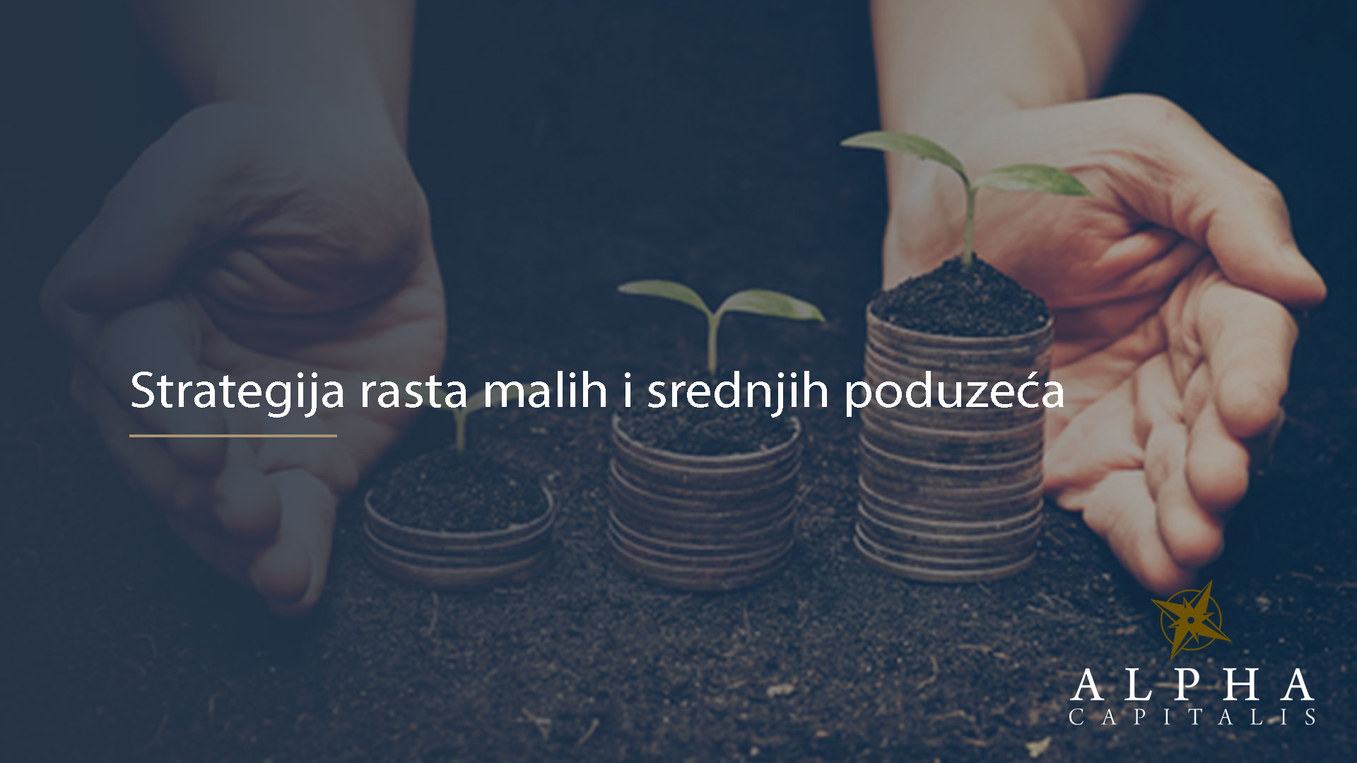 Strategije rasta malih i srednjih poduzeća