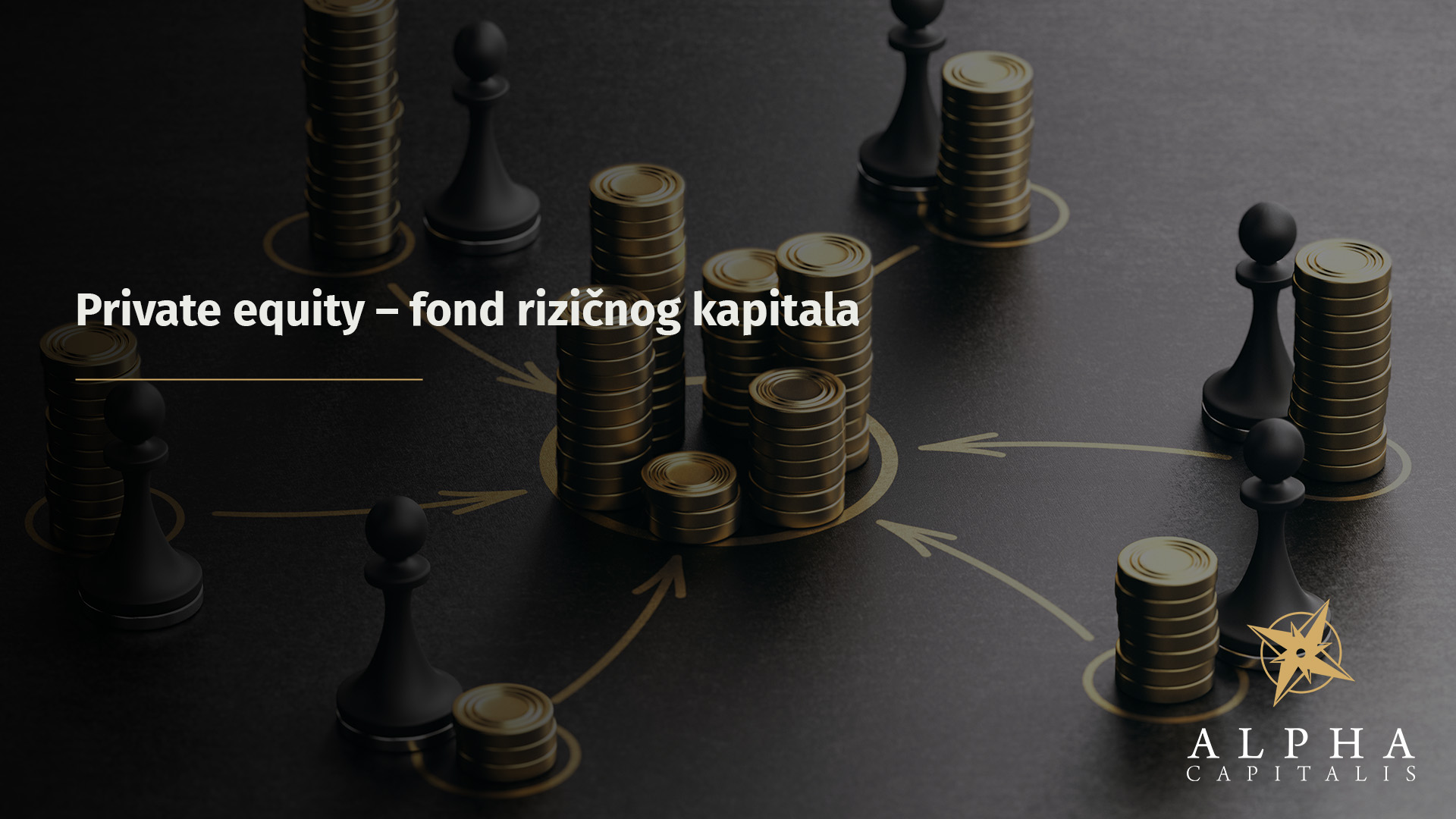 Private equity – fond rizičnog kapitala