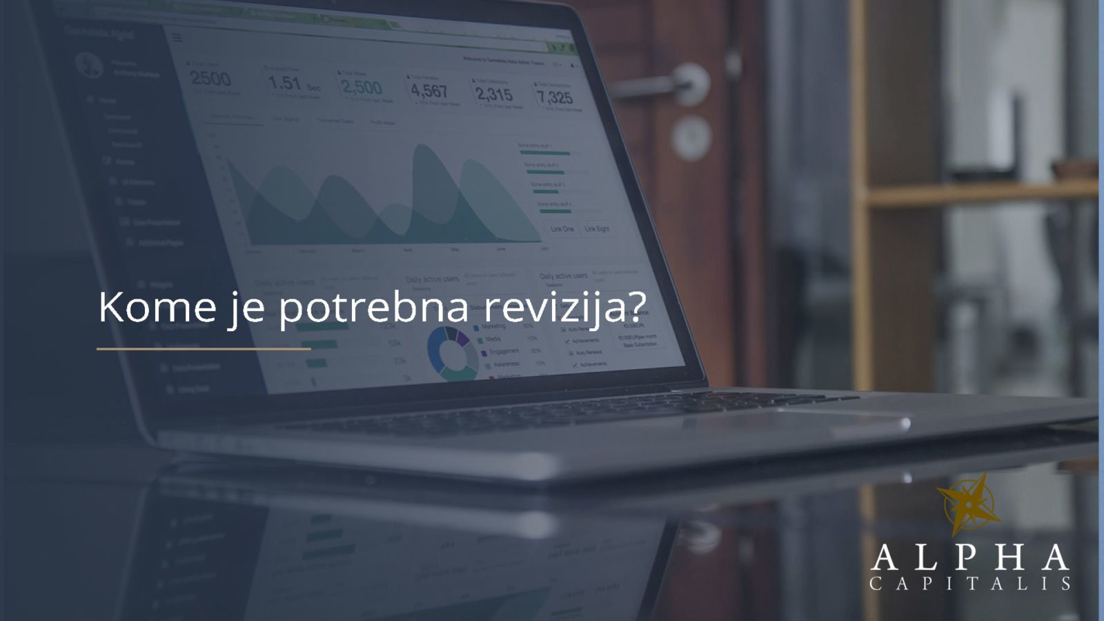 Kome je potrebna revizija?