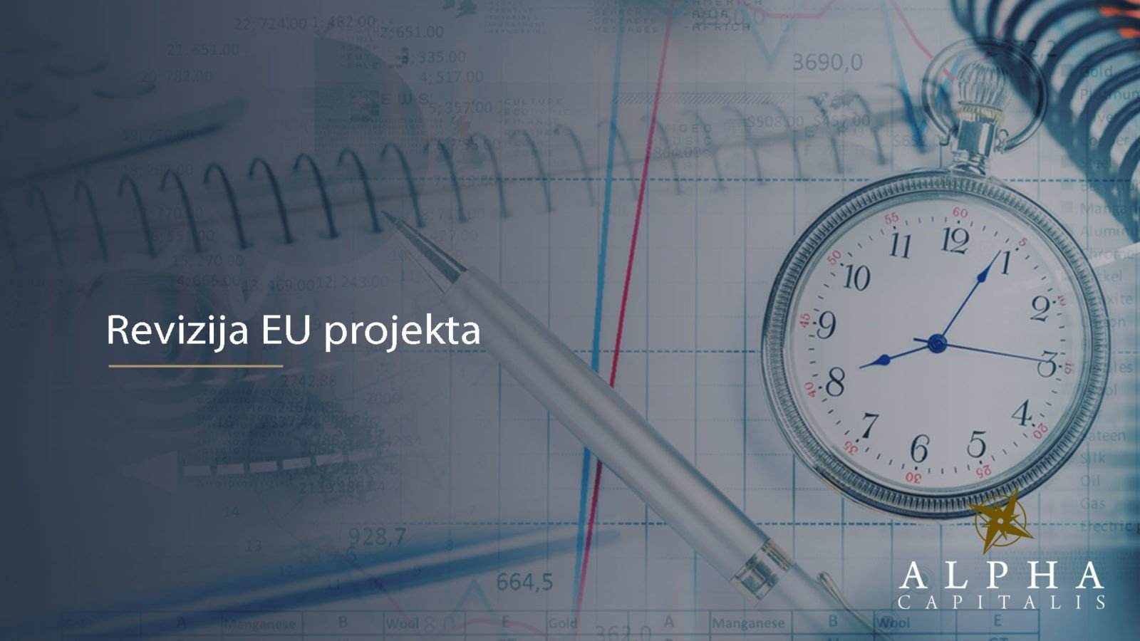 Revizija EU projekta