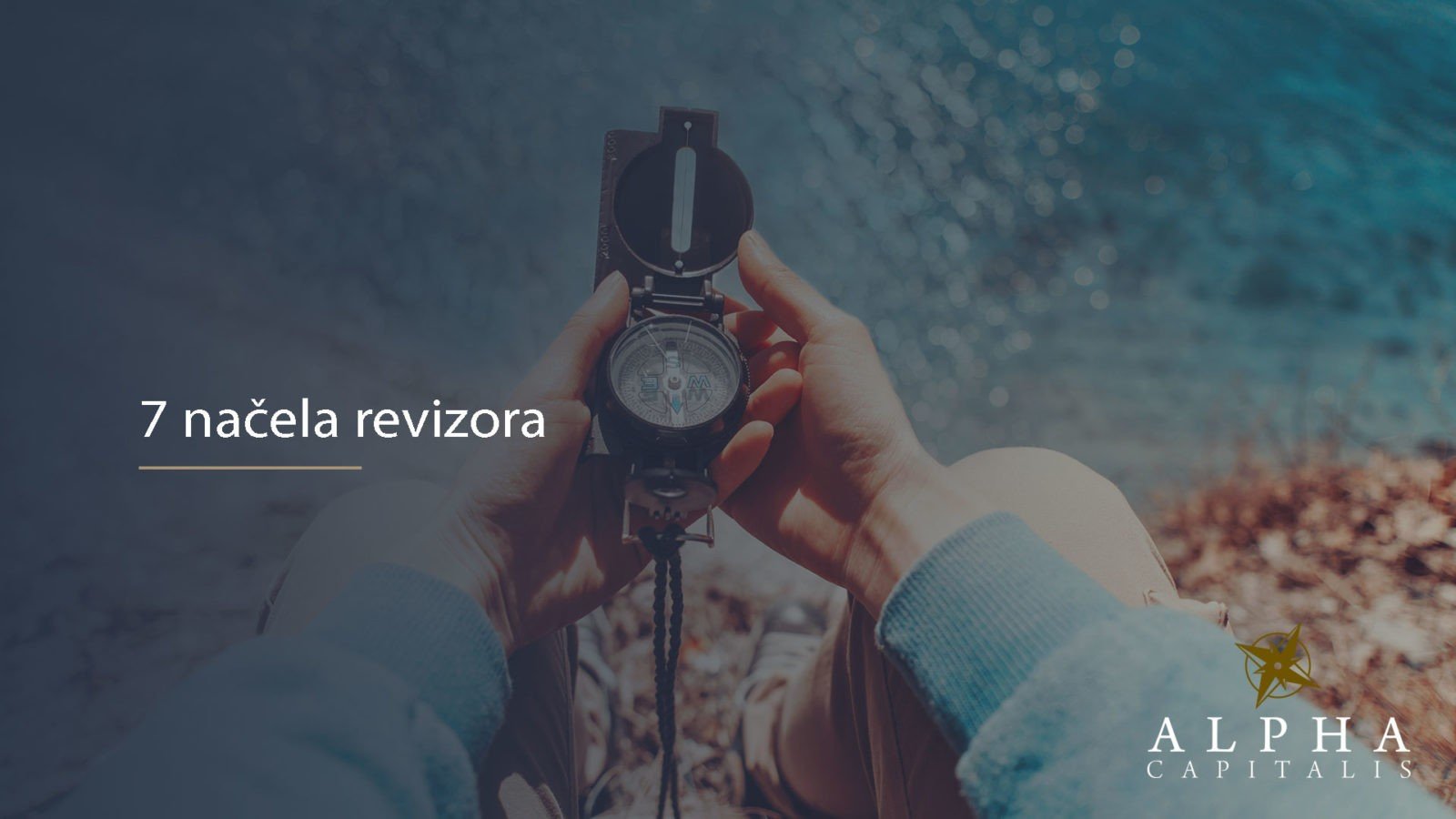 7 načela revizora