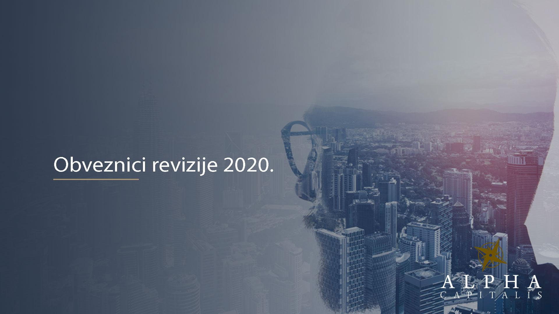 Tko su obveznici revizije godišnjih financijskih izvještaja za 2020. godinu?