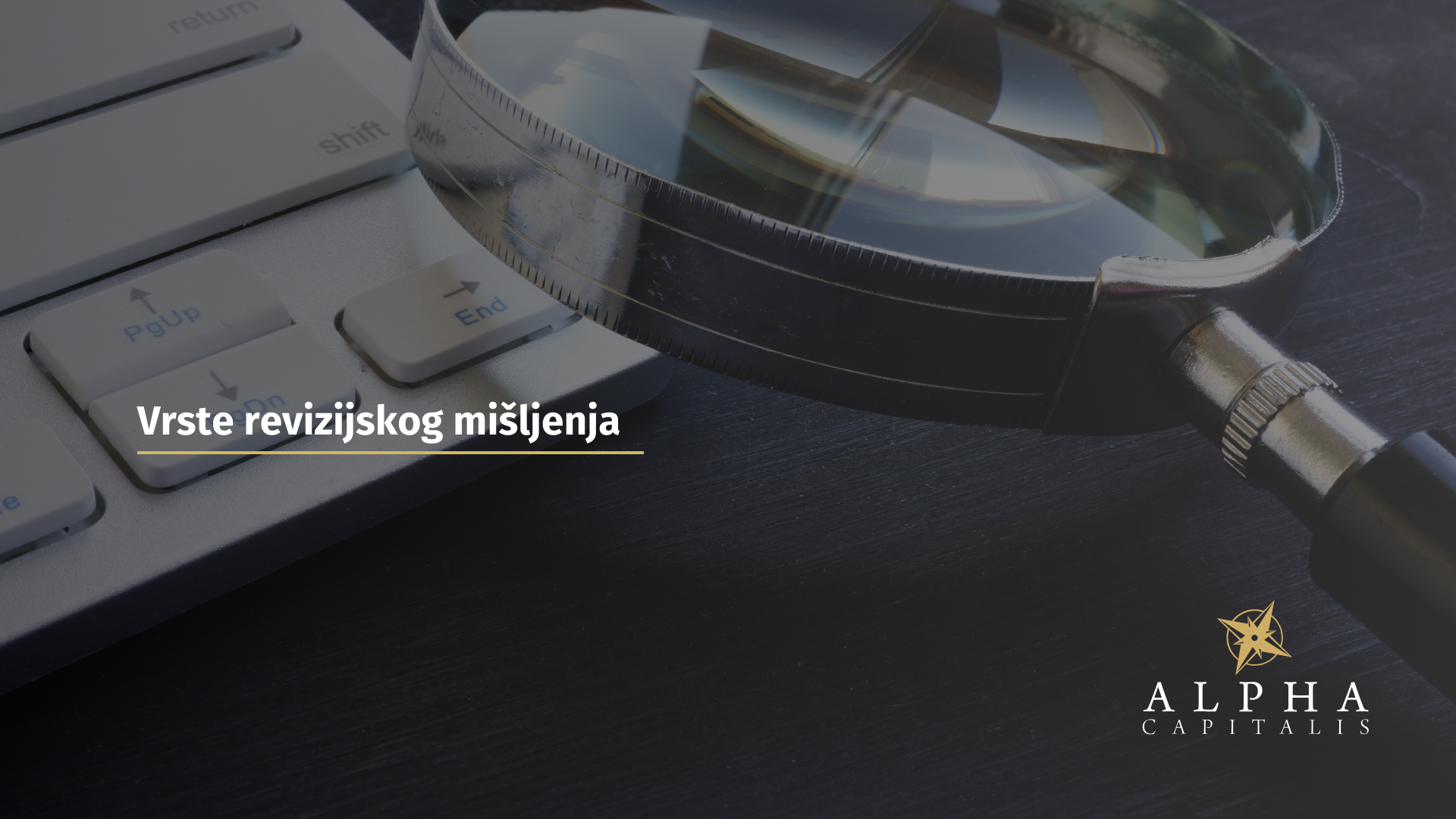 Vrste revizijskog mišljenja